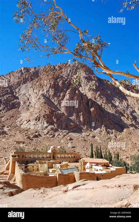 Stcatherines Monastery And Mount Sinai Sinai Peninsula Republic Of