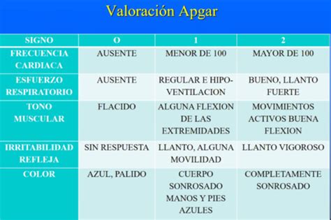 Fichas De Aprendizaje Preguntas De Examenes Anteriores Quizlet