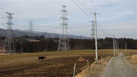 Los países de América Latina que más y menos invierten en energías renovables