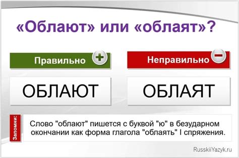 «Облают» или «облаят», как правильно?