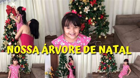 Montamos nossa Árvore de Natal Natal chegando e já montamos nossa