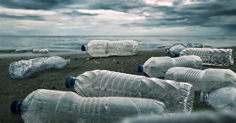 Should Plastic Water Bottles Be Banned Build A Stash