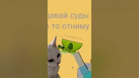 чайку под чаек - YouTube