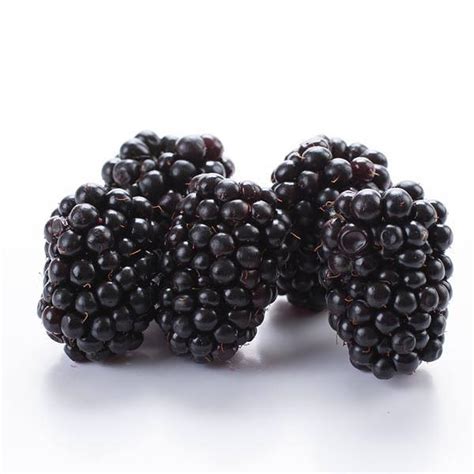 Organic Boysenberry Pancake Syrup Newport Flavours