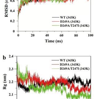 Molecular Dynamics Simulations Of Wild Type LrLDH WT Mutant D249A