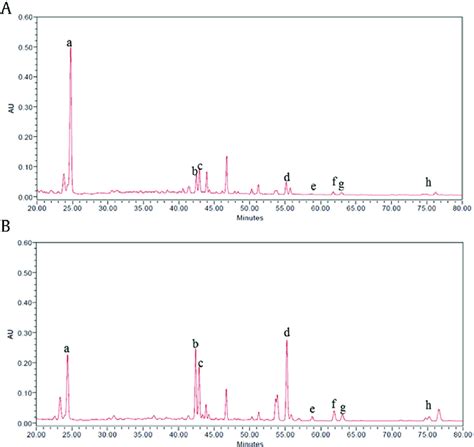 High Performance Liquid Chromatography Hplc Chromatograms Of Panax