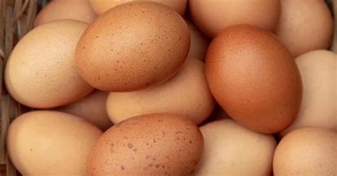 How To Check Out Stale Eggs Follow These 4 Easy Steps