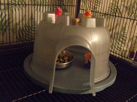Sugar Glider Food Bowl At Jackie Proctor Blog