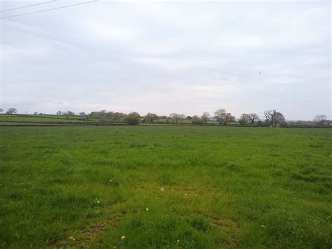 Field Off Summer Lane Sofia Geograph Britain And Ireland