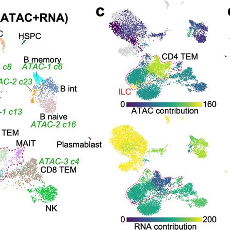 Multimodal Integration Identifies Rare And Unannotated Cell States