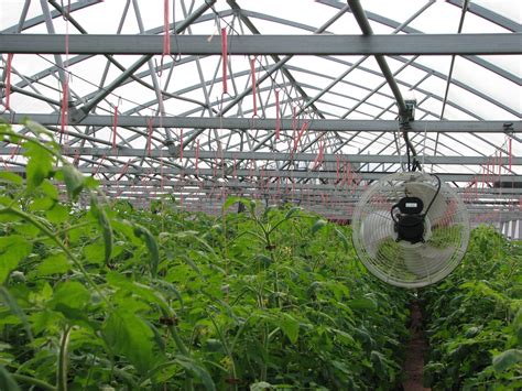 How Do Greenhouses Trap Heat At Ellenjhannano Blog