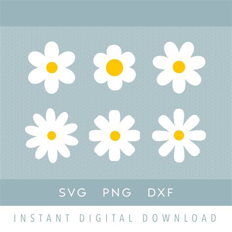 Daisy Svg Bundle, Daisy White and Yellow Png, Instant Digital Download - Etsy