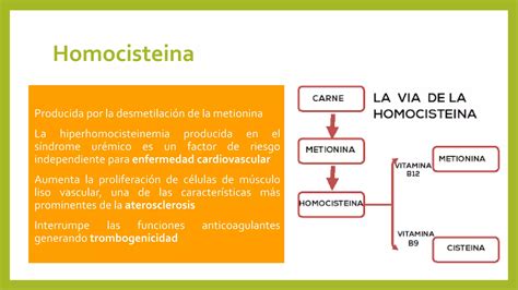 Síndrome urémico PPT