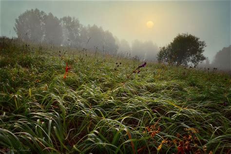 The Beauty Of Herb Landscapes