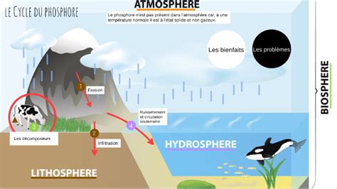 le cycle biogéochimique by Racine Lalande Justine