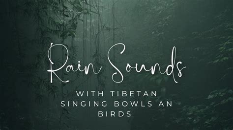 Rain Sounds With Tibetan Singing Bowls And Birds Chirping Sleep Music