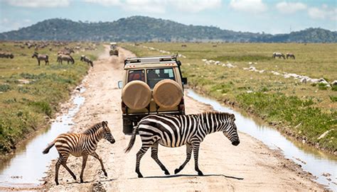 Bespoke Kenya Holidays And Luxury Safaris