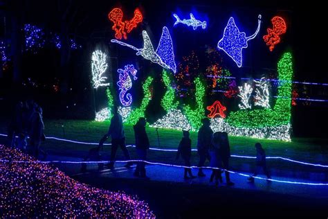 Catch Holiday Light Displays At Woodland Park Zoo Point Defiance Zoo