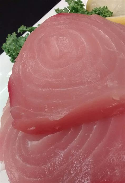 Blue Marlin - Dixon Fisheries