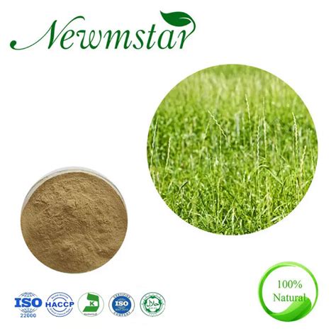 factory supply water soluble feed additive agropyron reoens extract