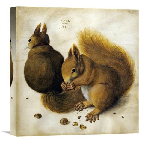 Global Gallery Two Squirrels One Eating A Hazelnut On Canvas By