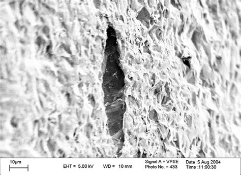 Scanning Electron Micrograph Of A Crevice Like Pit On The Mild Steel