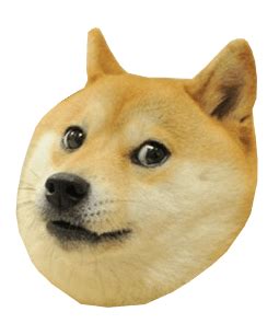 Doge Head transparent PNG - StickPNG