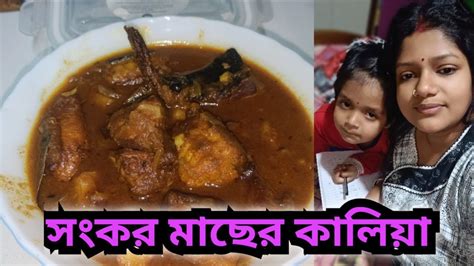 সংকর মাছের কালিয়া‼️প্রথম বার সংকর মাছ রান্না করলাম‼️ Bengalivlogs Youtube