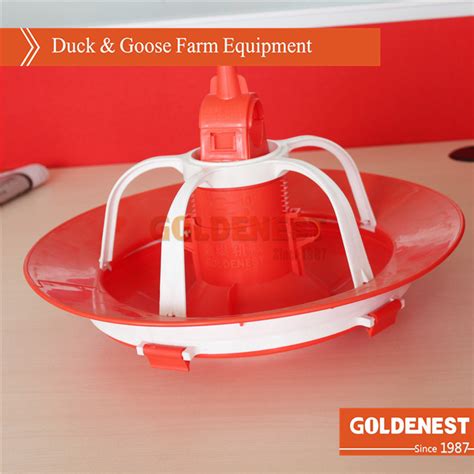 Poultry Farm Equipment Duck Goose Plastic Pp Pe Manual Feeder China