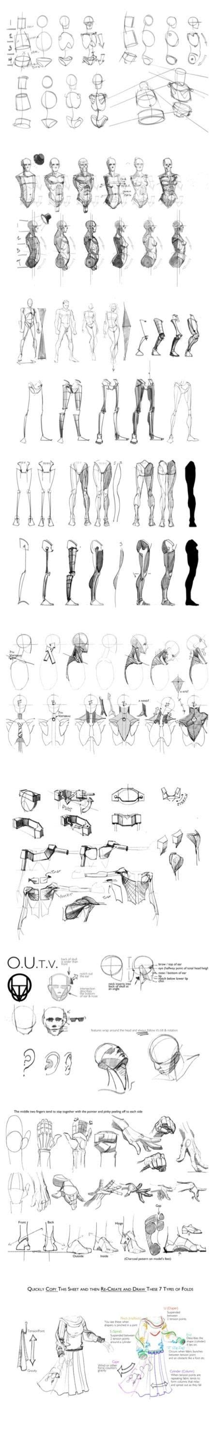 Art Tutorials References Dump Album On Imgur Anatomy Sketches