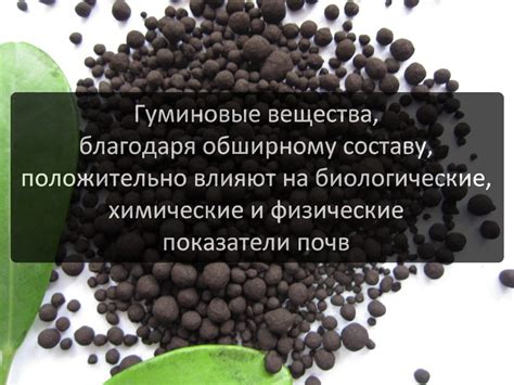Из чего производят гуминовую кислоту - Диптера