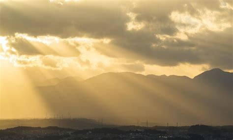 premium photo sunset  sun flare