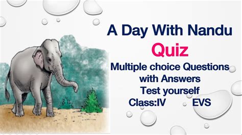 Quiz Test Yourself A Day With Nandu Class4 EVS NCERT CBSE Multiple