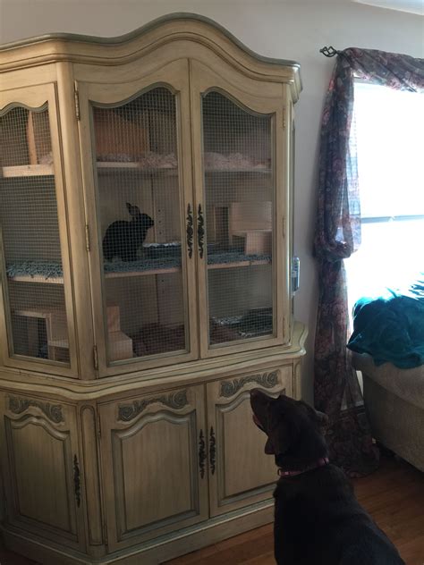 Diy Bunny Hutch From An Upcycled China Hutch Artofit