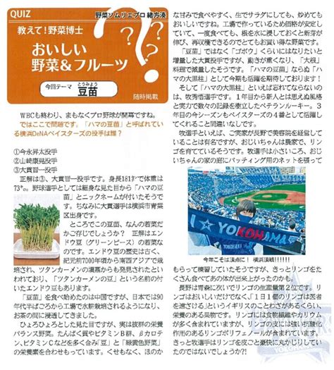 2023年3月23日 神奈川新聞「イマカナ」定期連載 40 祝 侍ジャパンwbc優勝 横浜denaベイスターズ開幕直前sp｜新着情報｜みなと