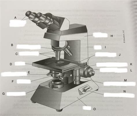 Lab Part Microscopy Flashcards Quizlet