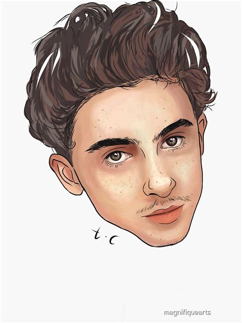 Timothee Chalamet Head Sticker For Sale By Magnifiquearts Redbubble