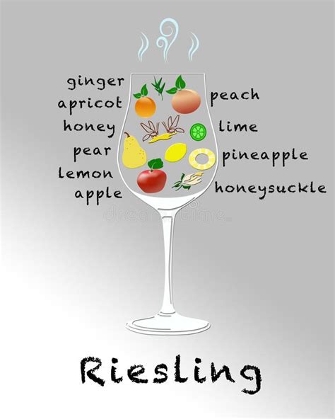 Wine Tasting Notes stock illustration. Illustration of fruity - 73614826