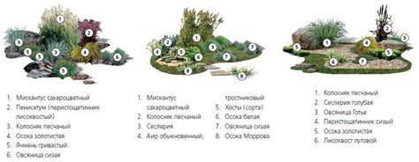 Клумба злаковых | Растения | Ландшафт | АССбуд — строительный портал