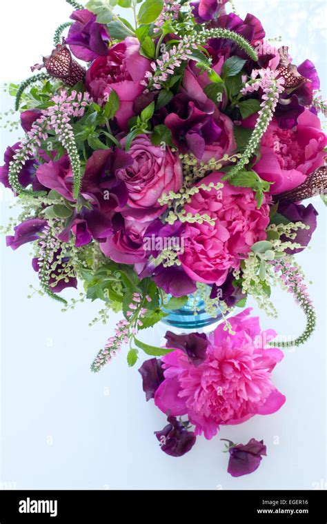 Rose yves piaget hi-res stock photography and images - Alamy