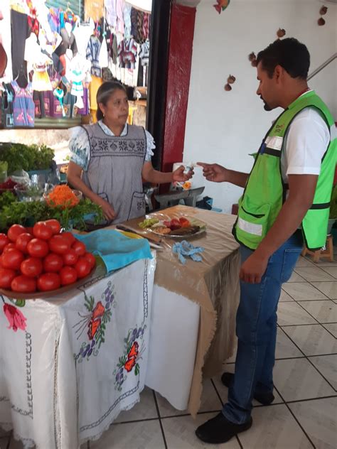 Coepris Mantiene Ssm Vigilancia Sanitaria En Morelia P Tzcuaro Y