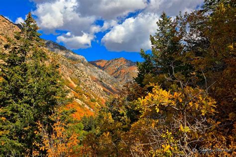 Up Ogden Canyon Jeffrey Favero Fine Art Photography