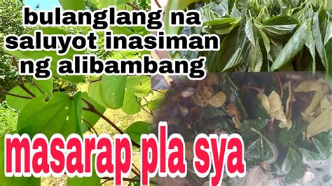 Bulang Lang Na Saluyot Pang Asim Ang Alibambang My Own Versionmama