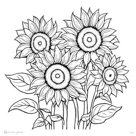 Descarga P Gina Para Colorear De Girasol Para Adultos Y Ni Os Coloring