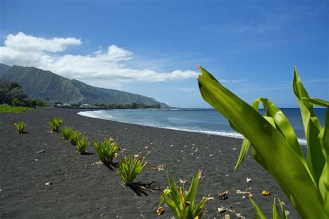 From Papeete Tahiti Highlights Full Day Private Tour