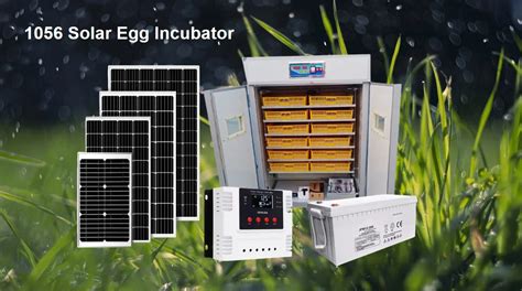 Favorable Price Solar Power Hatching Machine Solar Incubators 1000 Eggs