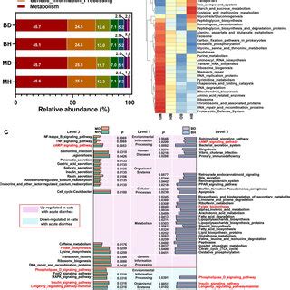 Functional Annotation And Variance Analysis Of The Gut Microbiota Of