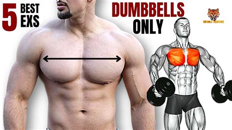 5 Best Chest Workout With Dumbbells Only At Home Gym Artofit