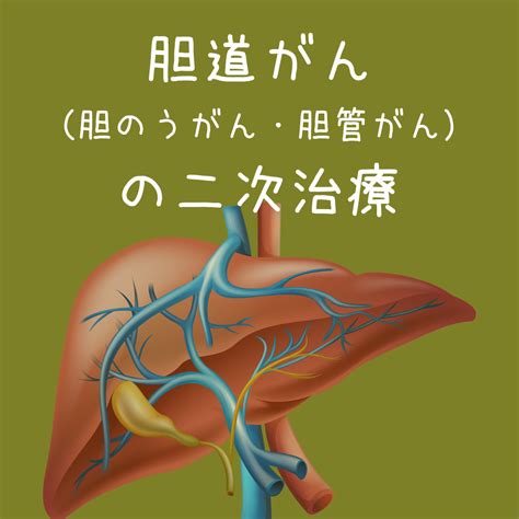 【2022年版】胆道がん（胆嚢がん・胆管がん）の二次治療 がんゲノム医療・免疫治療 銀座みやこクリニック院長ブログ