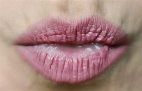 Makeup By Niyo Makeup Look Using The UD Naked Palette